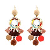 Pom Pom Tassell Earrings